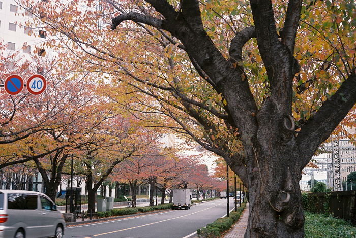 b0067346_23312340.jpg
