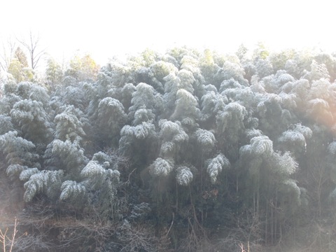 c0110647_041490.jpg