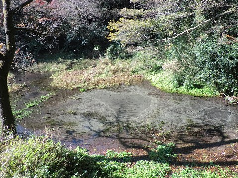 d0138650_2310295.jpg