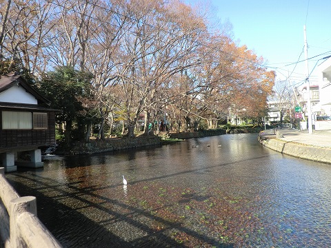 d0138650_2364732.jpg