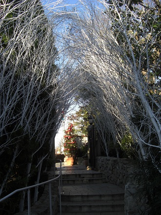 f0160353_1633395.jpg
