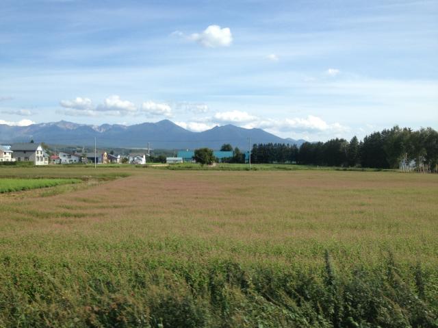 c0105957_2326351.jpg