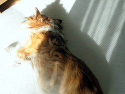 c0170957_13214341.jpg