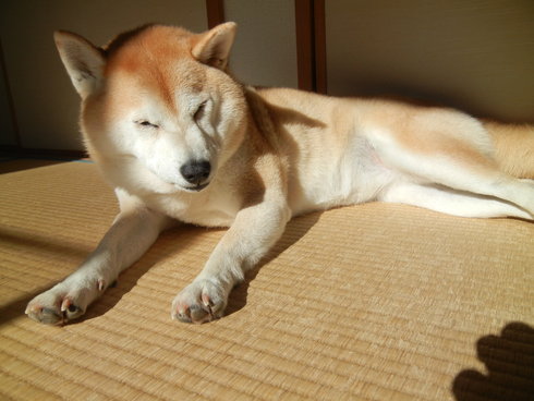 ’12,12,11(火)寒い日にはホットワイン!_f0060461_171449.jpg