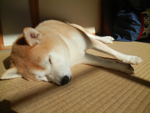 ’12,12,11(火)寒い日にはホットワイン!_f0060461_17151362.jpg