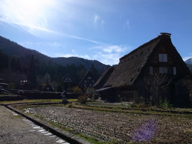 e0080165_134436100.jpg