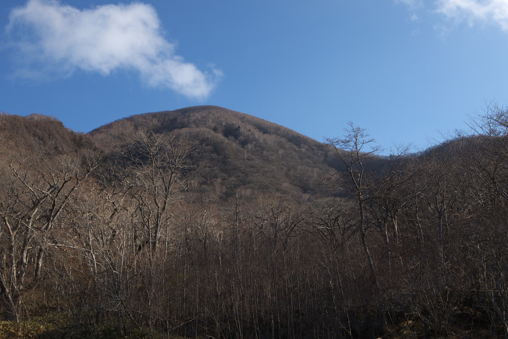 f0171065_224503.jpg