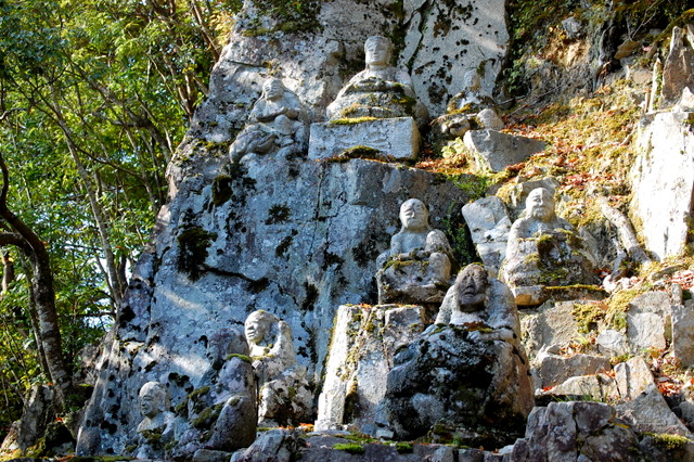 d0172270_11469.jpg