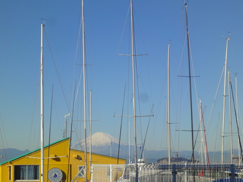 e0006772_20284824.jpg