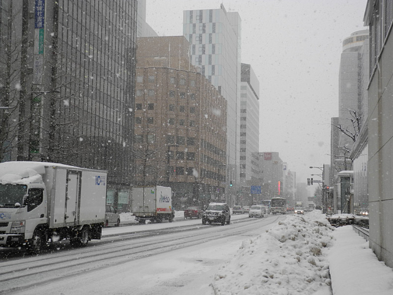 サッポロは今日も雪でした_e0100772_2293123.jpg