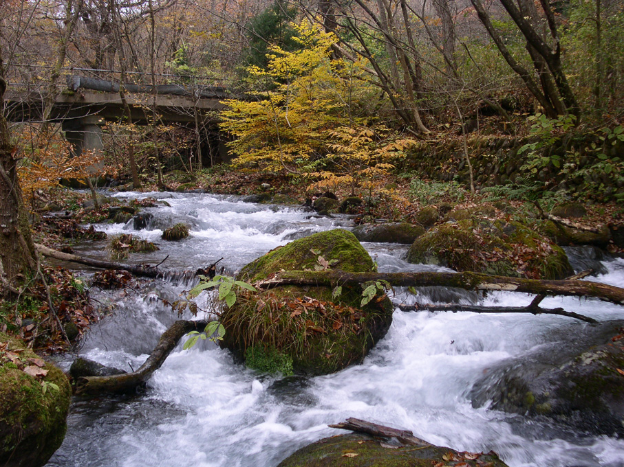e0118274_21617100.jpg