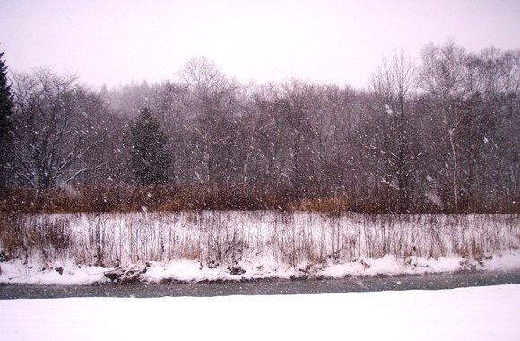 a0169776_21282164.jpg