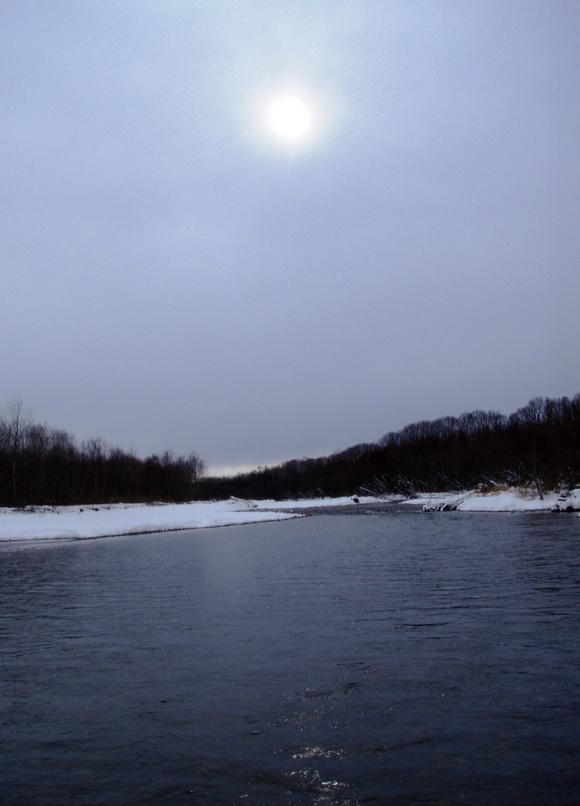 a0169776_21365986.jpg