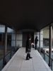 d0266681_22382740.jpg