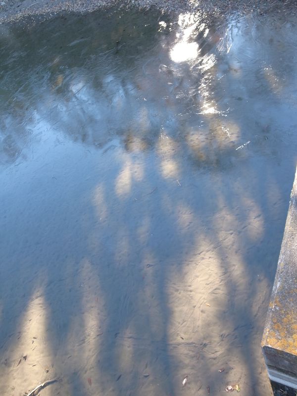 b0018682_12375323.jpg