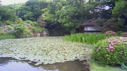 京都東本願寺　渉成園_c0229483_21105226.jpg