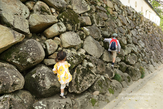 d0259885_0483980.jpg