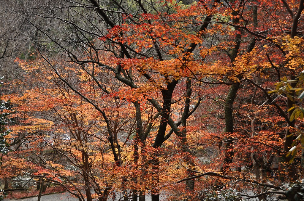 c0240388_10481796.jpg