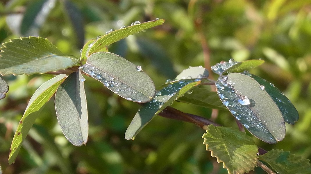 a0152692_17324035.jpg