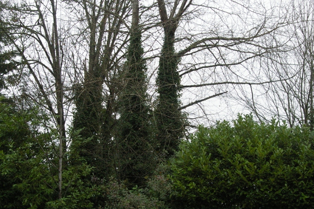 b0283192_13302935.jpg