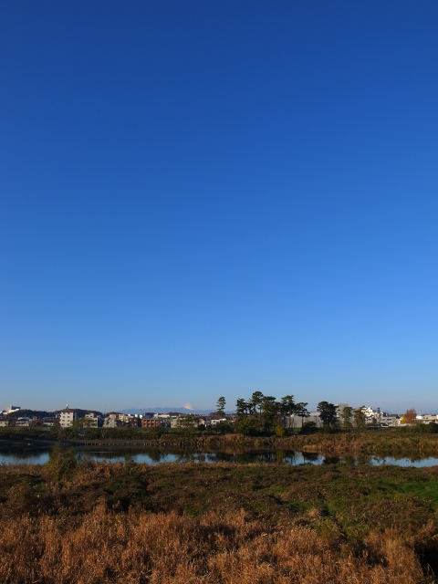 d0081997_20505439.jpg