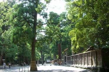 伊勢神宮 新穀感謝祭 ①_c0125702_23512455.jpg