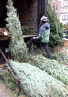 ニューヨークの青空市場にも近づくクリスマス_b0007805_028545.jpg