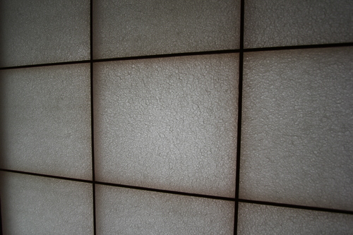 d0171305_14412286.jpg