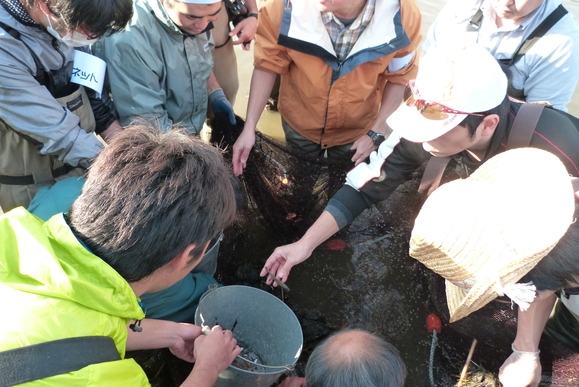 第14回 城北ワンド・イタセンパラ再生活動_a0263106_13555738.jpg