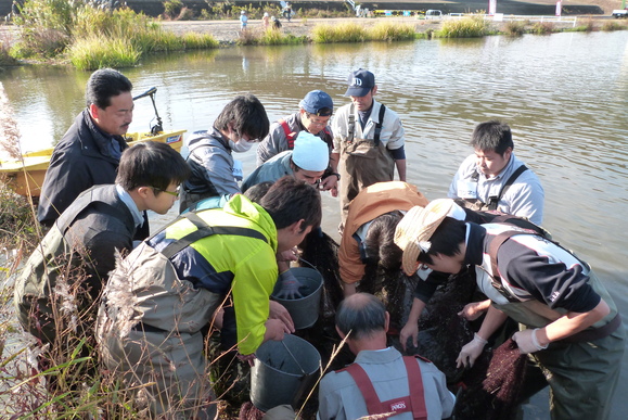 第14回 城北ワンド・イタセンパラ再生活動_a0263106_1355829.jpg