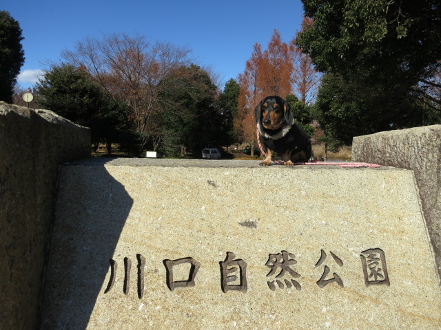 a0227507_015921.jpg