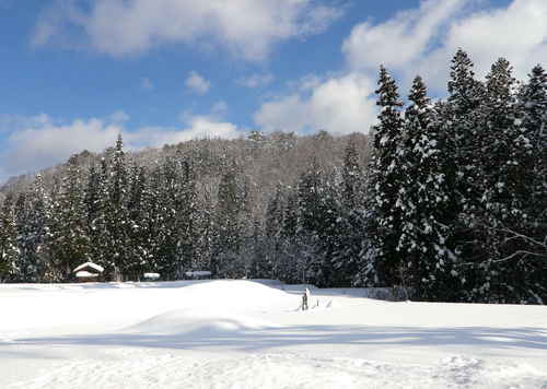 b0218008_1157650.jpg