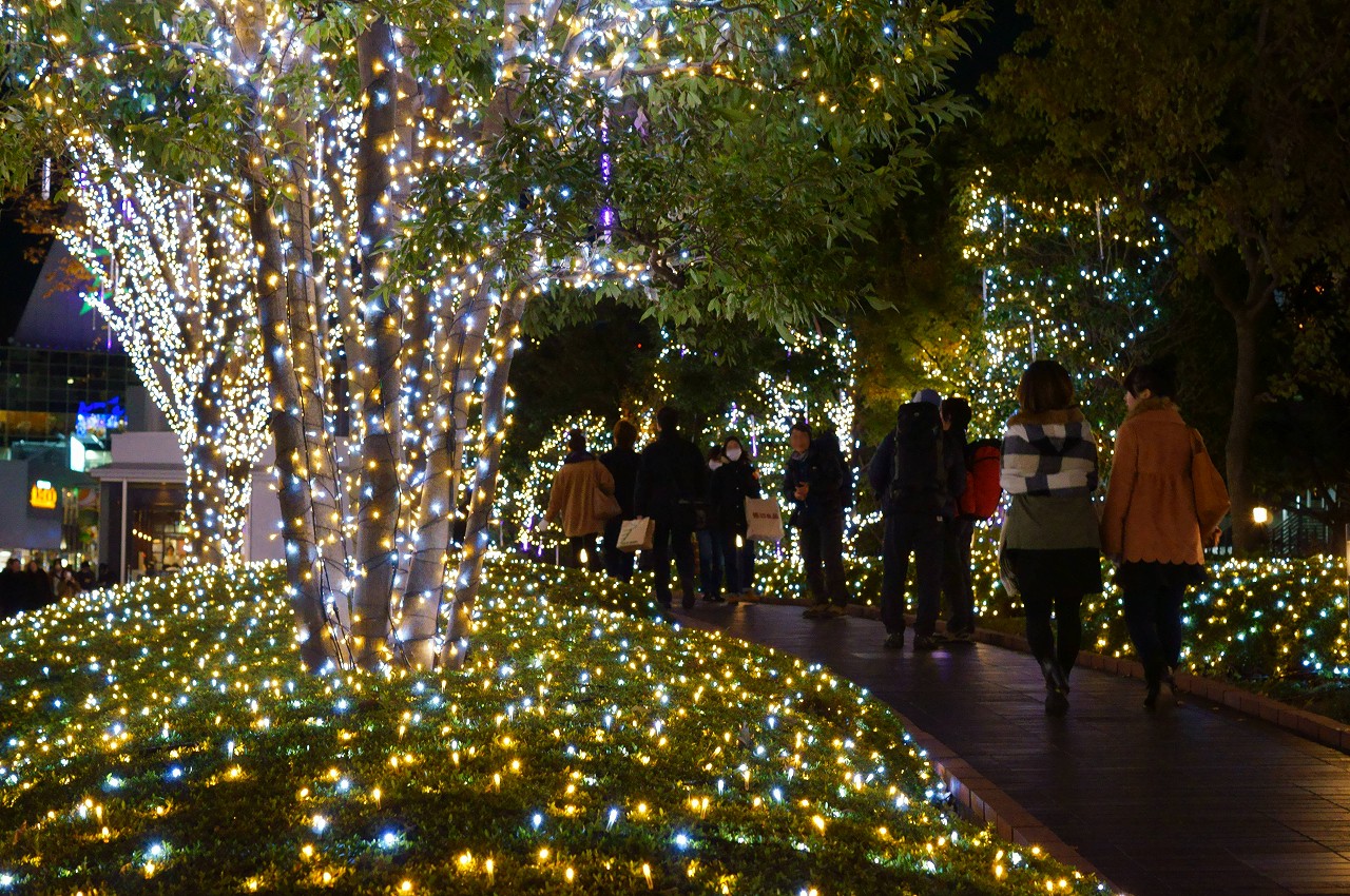 新宿・サザンテラスのイルミネーション２０１２_b0225108_121636.jpg