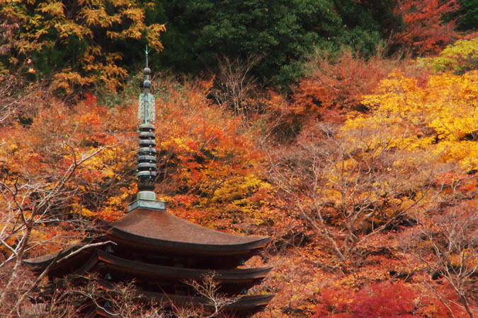 奈良 談山神社の紅葉2_a0263109_18492283.jpg