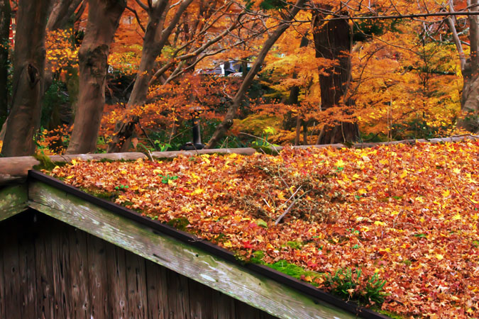 奈良 談山神社の紅葉2_a0263109_18494462.jpg