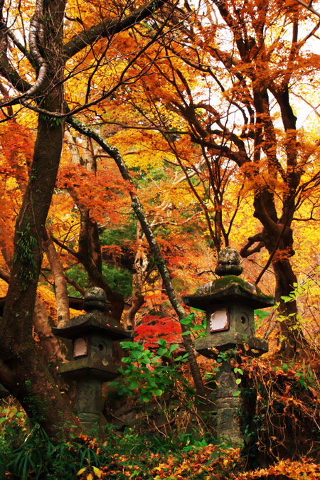 奈良 談山神社の紅葉2_a0263109_1851410.jpg
