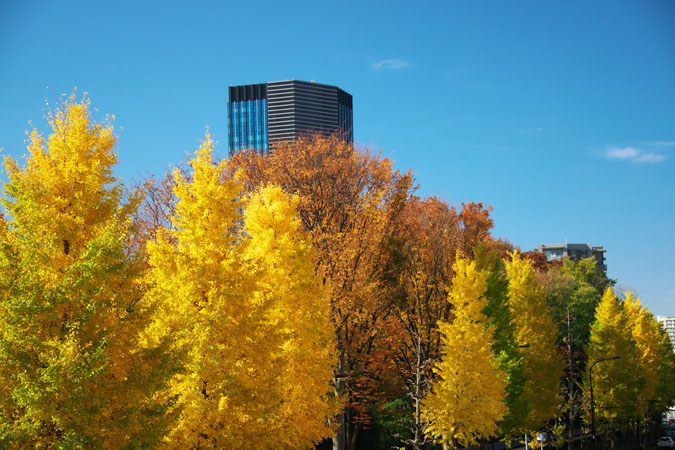 小石川後楽園の紅葉1_a0263109_20334097.jpg