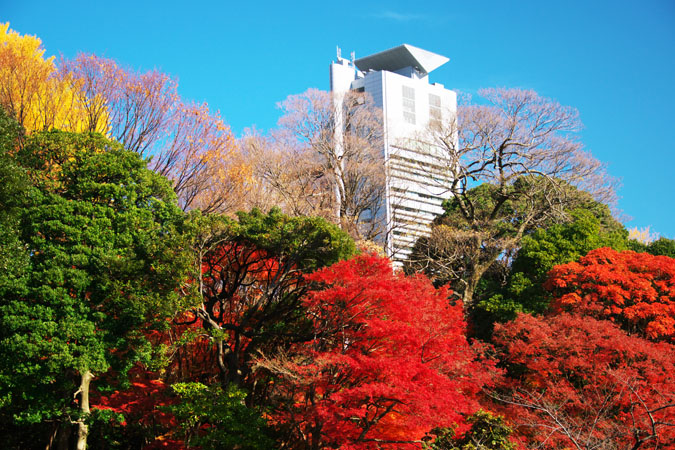 小石川後楽園の紅葉1_a0263109_20342724.jpg