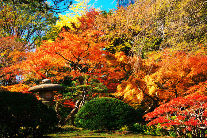 小石川後楽園の紅葉1_a0263109_20343978.jpg