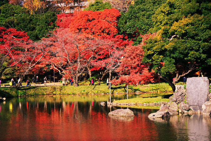 小石川後楽園の紅葉_a0263109_20524815.jpg