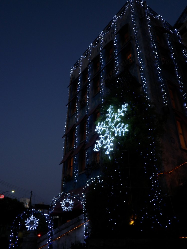 c0062511_2158224.jpg