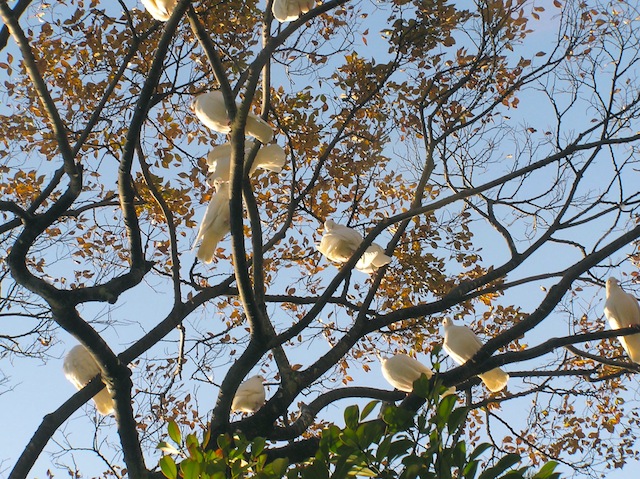 c0248013_21441212.jpg