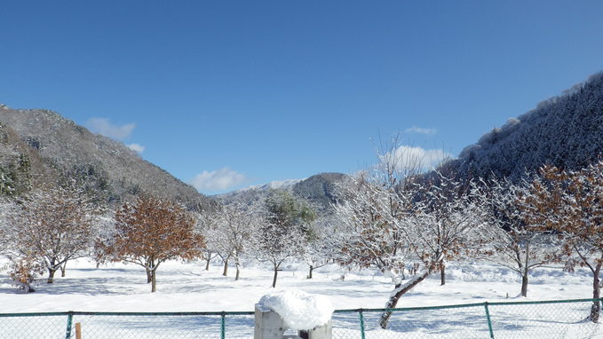 晴れて綺麗な雪景色です。_a0218118_14222789.jpg