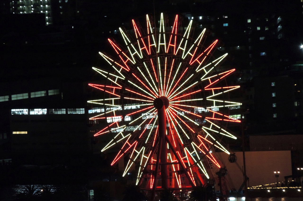 三日月と金星･神戸港の夜景・花時計とツグミ？_a0037019_6231153.jpg