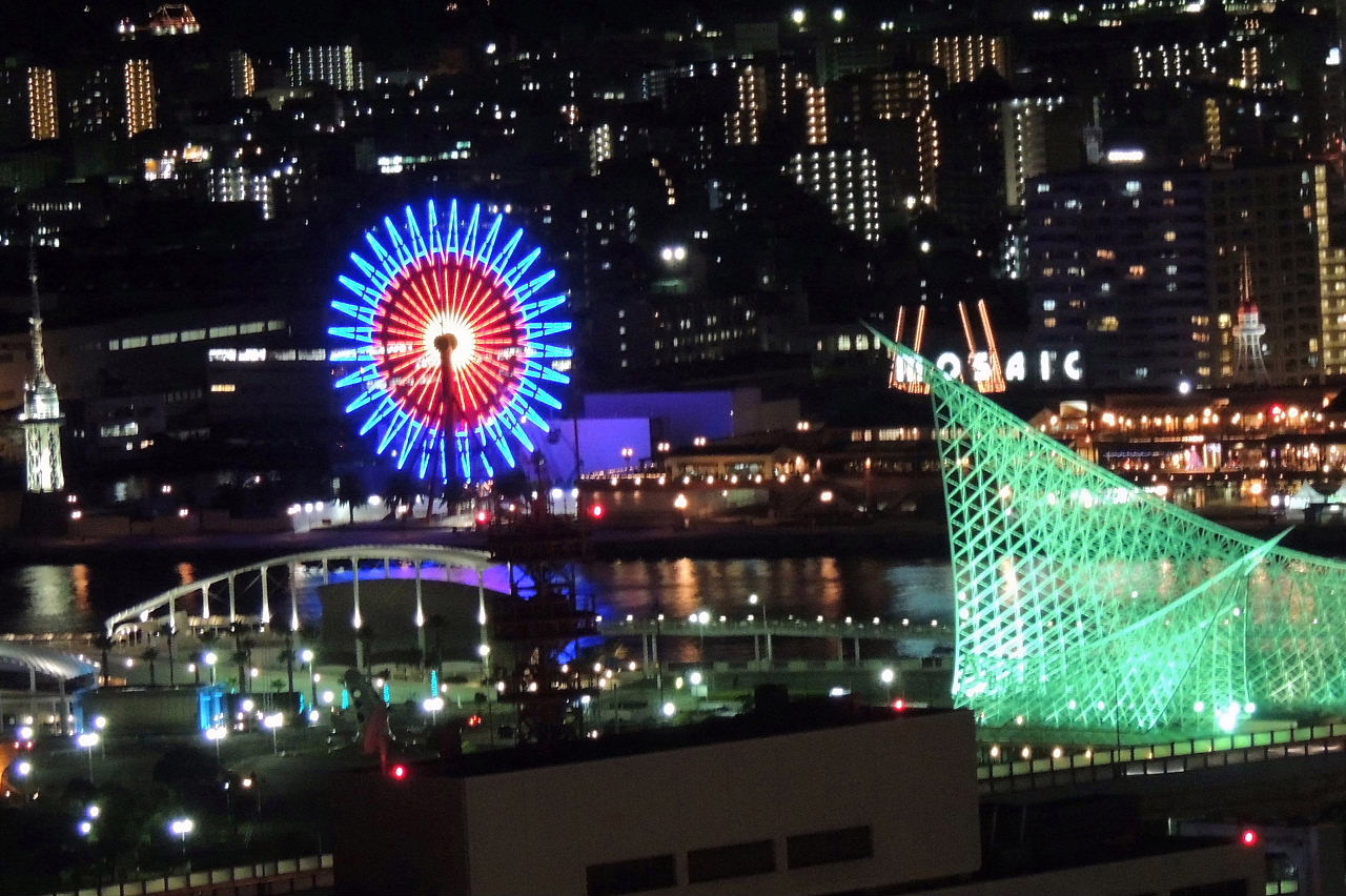 三日月と金星･神戸港の夜景・花時計とツグミ？_a0037019_642164.jpg