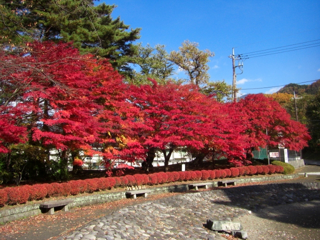 c0074721_16213242.jpg