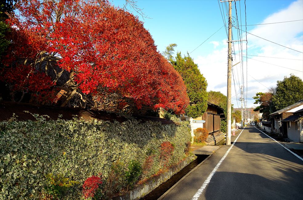 掘割りのある風景。_c0248521_15163733.jpg