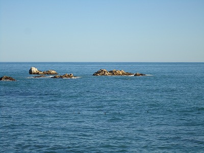 d0166224_17201118.jpg