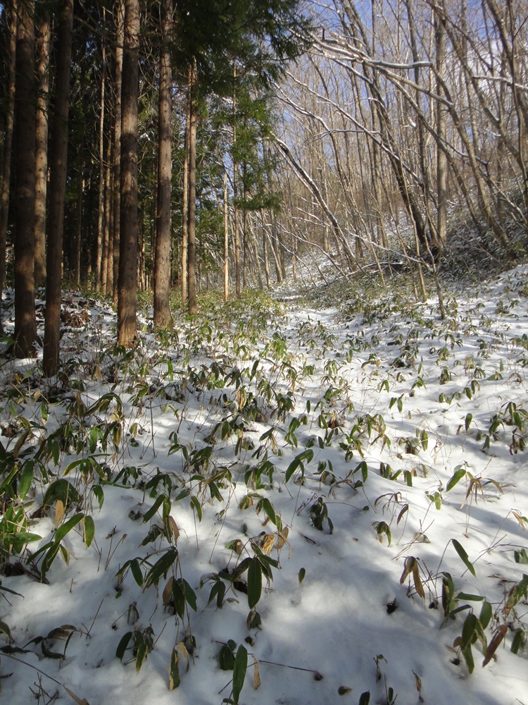 山の神の日_c0111229_18271040.jpg