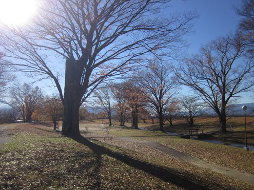 a0291132_1051489.jpg